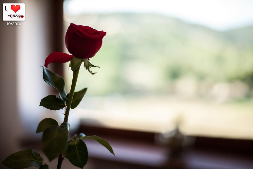 Chroma Domus Fiano Romano Bed and Breakfast Esterno foto
